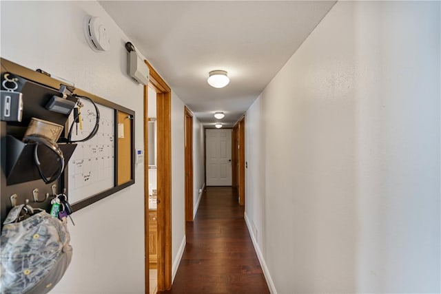 hall featuring dark hardwood / wood-style floors