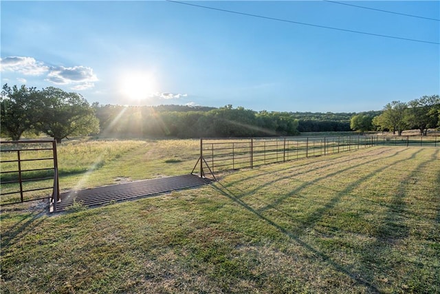 view of yard featuring a rural view