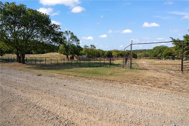 view of yard featuring a rural view