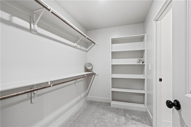 walk in closet with light colored carpet