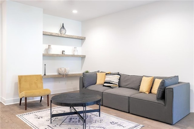 living room featuring wood-type flooring