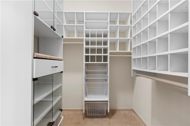 spacious closet featuring carpet floors