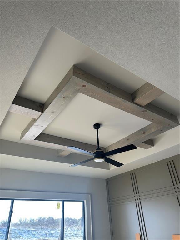 room details with ceiling fan