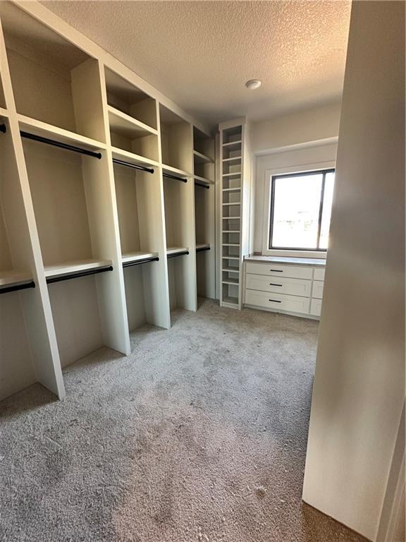 spacious closet featuring carpet floors