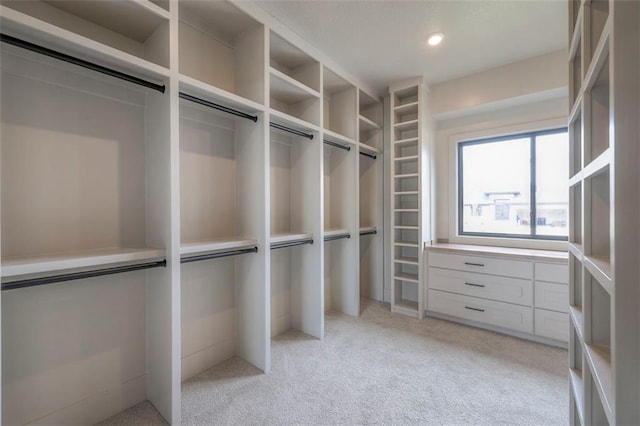 spacious closet with light carpet