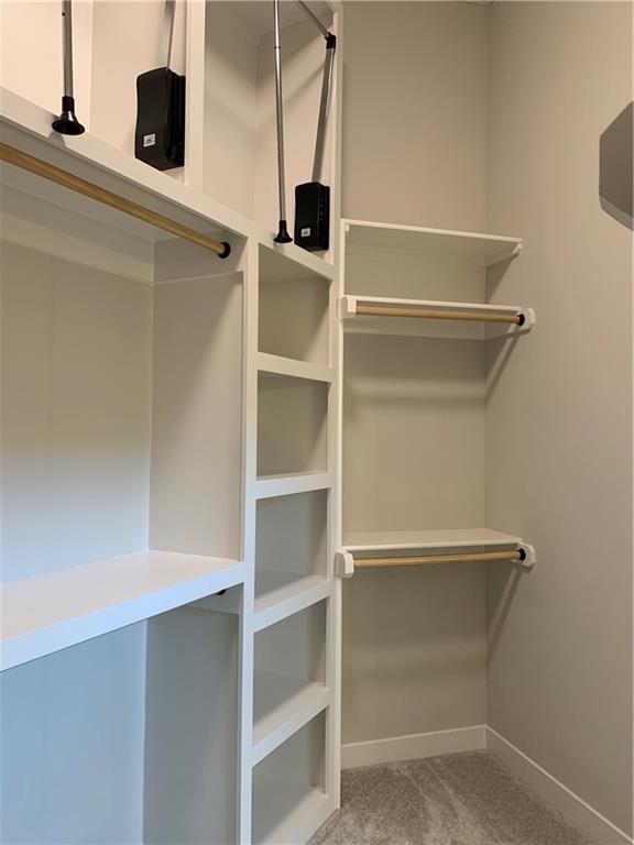 spacious closet featuring light carpet