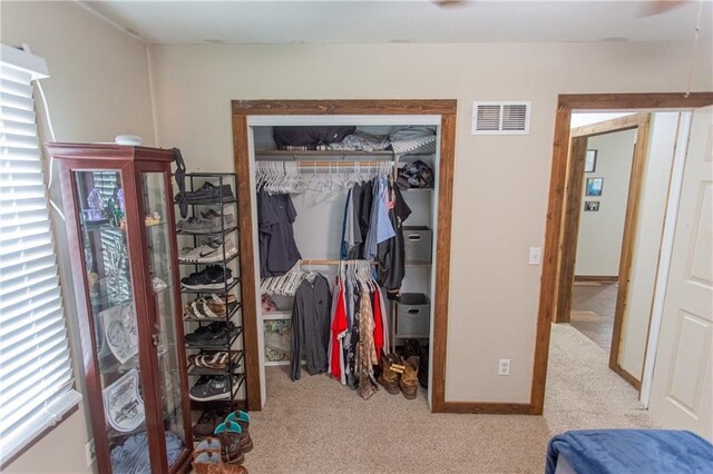 view of closet