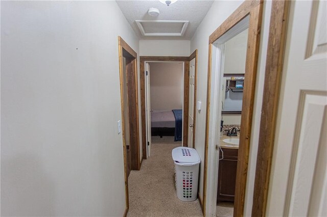 hall featuring a textured ceiling and sink