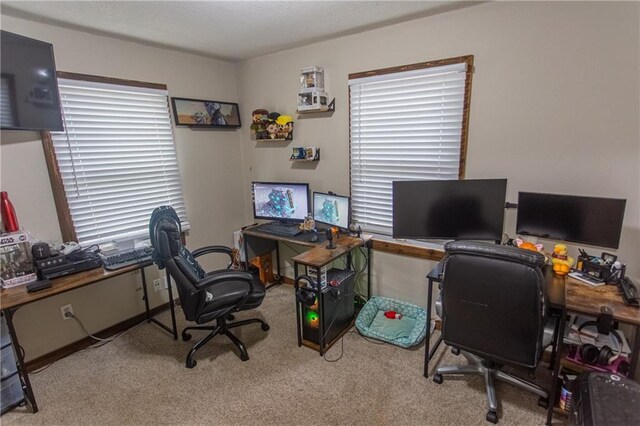 office area featuring light carpet