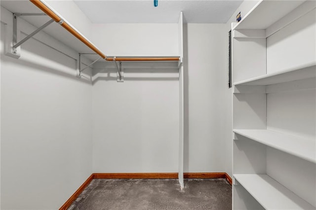 view of spacious closet