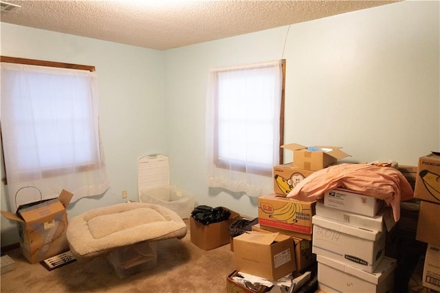 miscellaneous room featuring a textured ceiling and carpet flooring