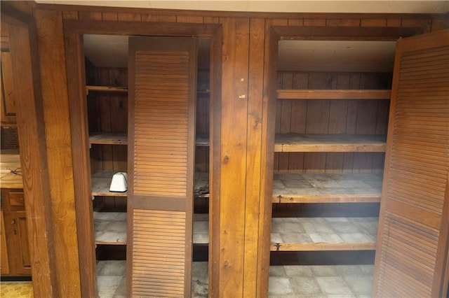 view of sauna featuring wooden walls