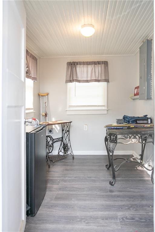 kitchen featuring electric panel and wood-type flooring