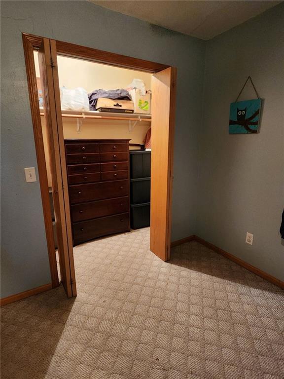 unfurnished bedroom with light colored carpet and a closet