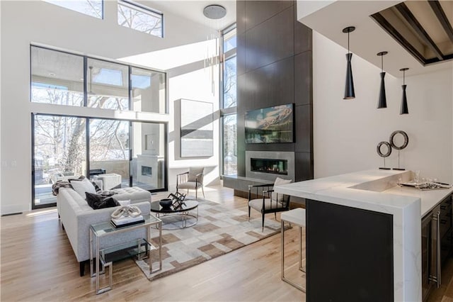 living room featuring a towering ceiling, a fireplace, and light hardwood / wood-style flooring