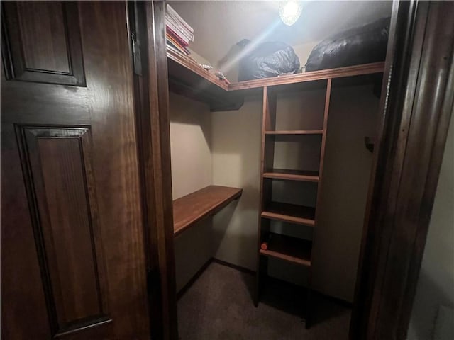 walk in closet with carpet floors