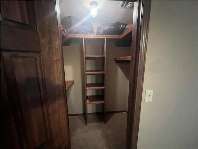 spacious closet with carpet floors