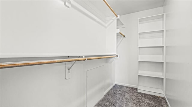 spacious closet with carpet floors