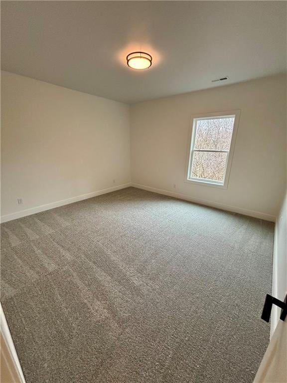 spare room with carpet floors