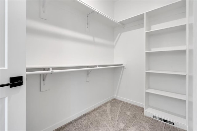 walk in closet with visible vents and carpet flooring