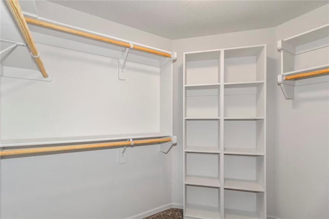 view of walk in closet