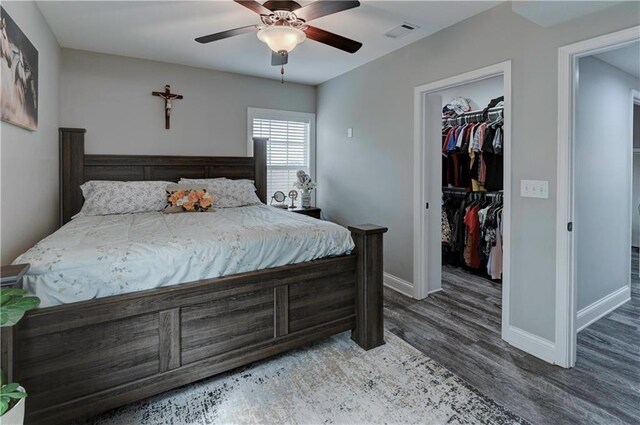 bedroom featuring ceiling fan, a closet, dark hardwood / wood-style flooring, and a walk in closet