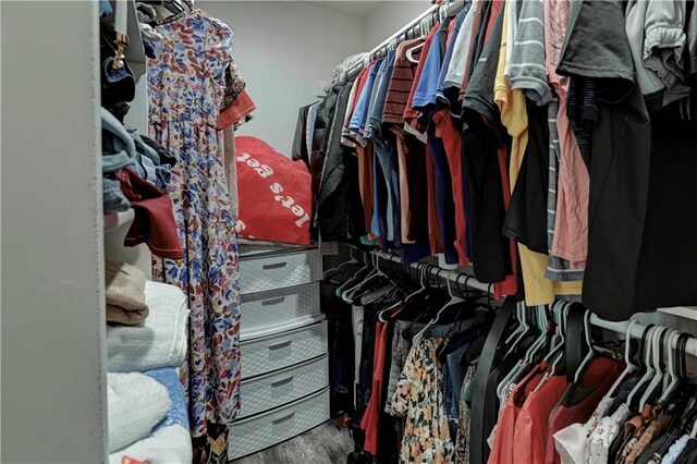 walk in closet with wood-type flooring