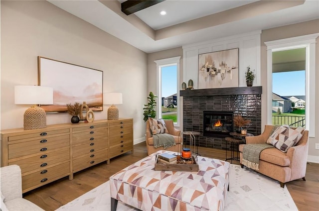 living area with a fireplace, a raised ceiling, wood finished floors, and baseboards