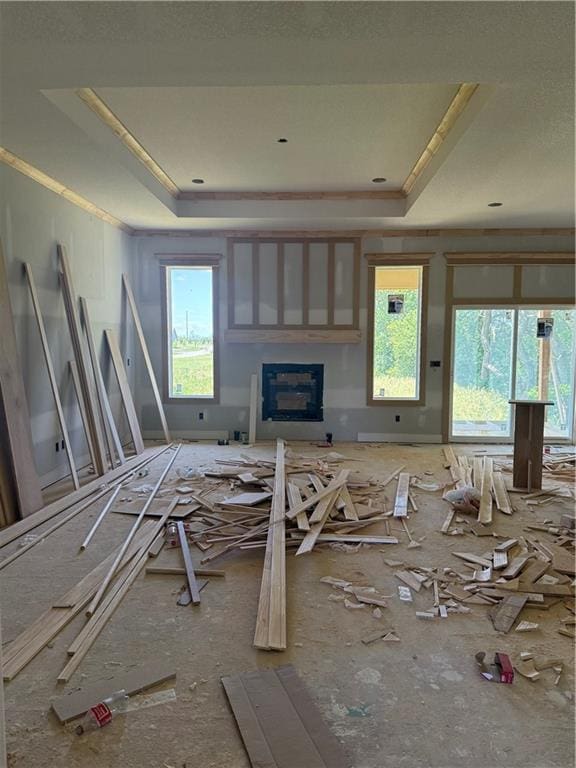 18452 Pawnee Ln, Overland Park, KS 66085 - misc room with a raised ceiling and a glass covered fireplace