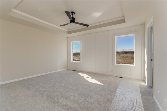 spare room with a raised ceiling and crown molding