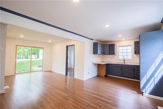 kitchen featuring gray cabinetry, hardwood / wood-style flooring, sink, and a wealth of natural light