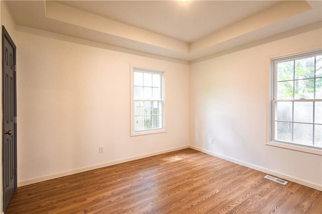 empty room with a tray ceiling, hardwood / wood-style flooring, and a healthy amount of sunlight