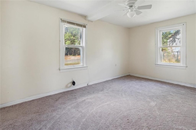 carpeted empty room with a wealth of natural light, beam ceiling, and ceiling fan