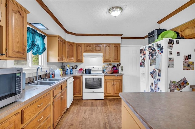 kitchen with light wood-type flooring, crown molding, white appliances, and sink