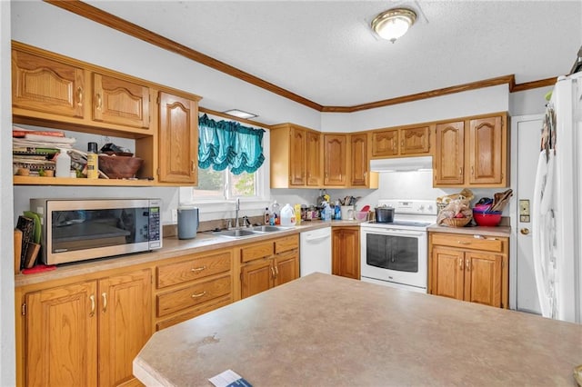 kitchen with ornamental molding, sink, and white appliances