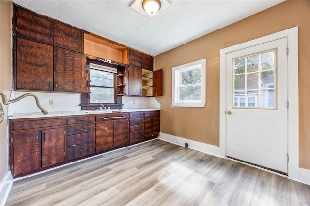 kitchen featuring light wood-type flooring and plenty of natural light