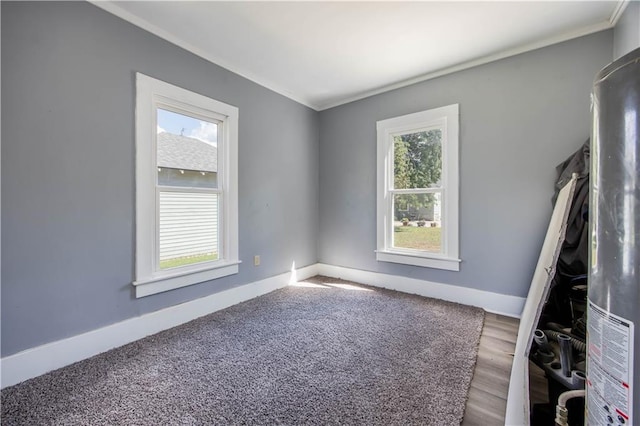 spare room featuring wood-type flooring, crown molding, and a wealth of natural light