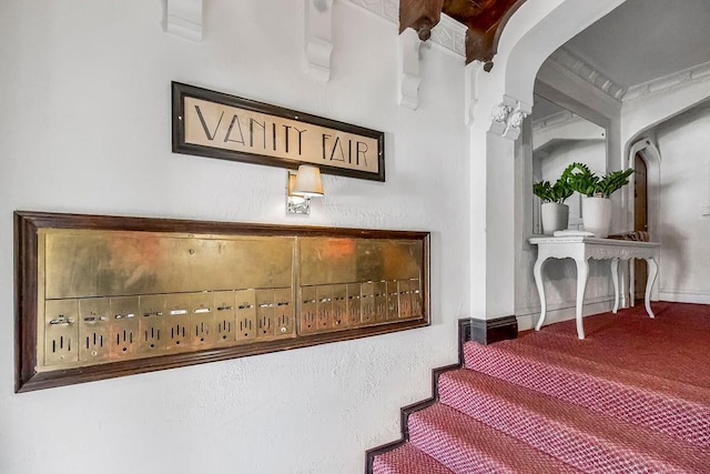 staircase featuring carpet