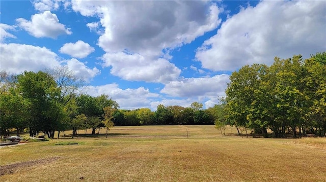 view of yard with a rural view