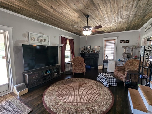 living room featuring a healthy amount of sunlight, crown molding, dark hardwood / wood-style floors, and ceiling fan