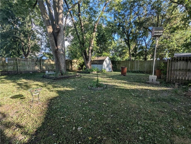 view of yard with a shed