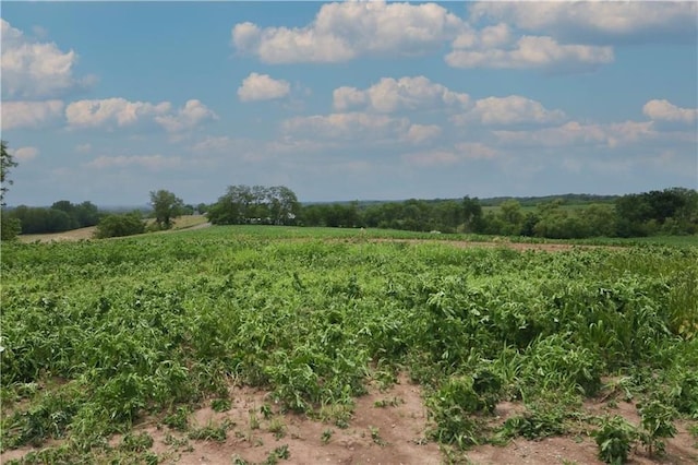 view of local wilderness featuring a rural view