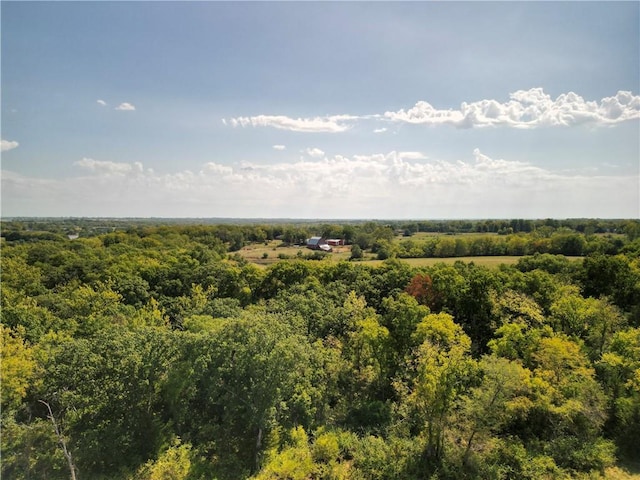 bird's eye view of a forest