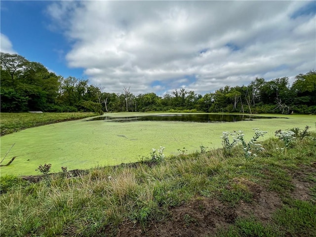 view of property's community with a water view and a yard