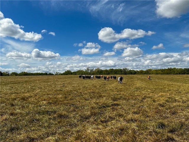 view of undeveloped land featuring rural landscape