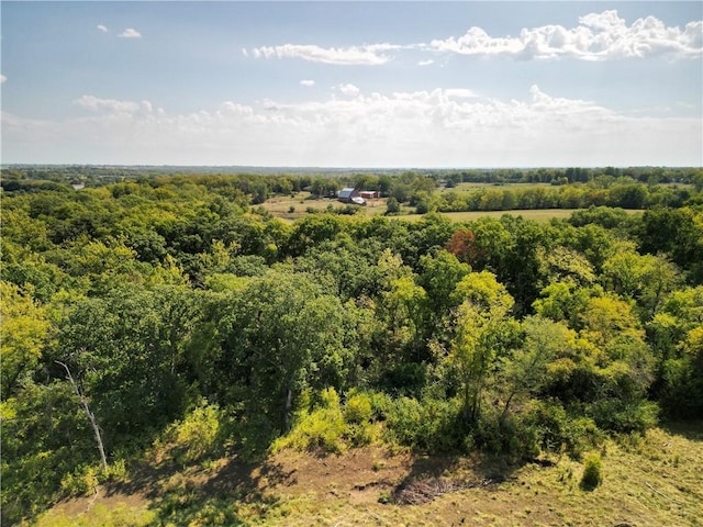 aerial view of a forest