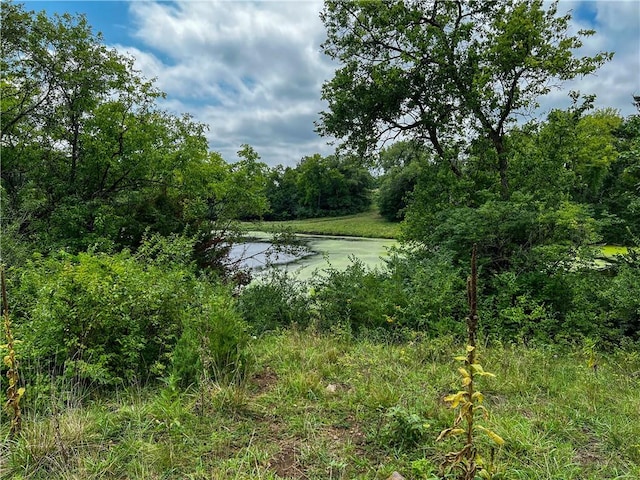 view of landscape featuring a water view