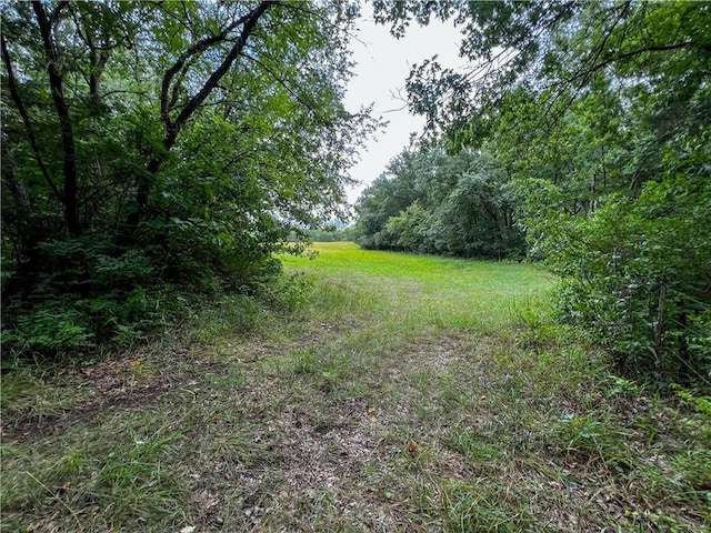 view of yard featuring a wooded view