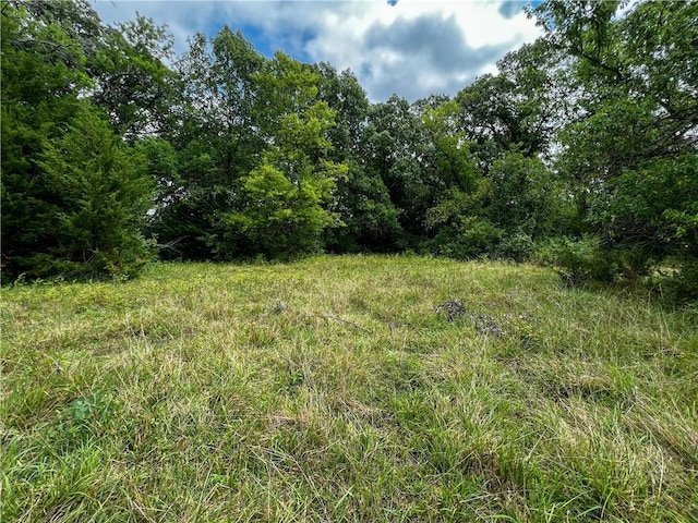 view of local wilderness