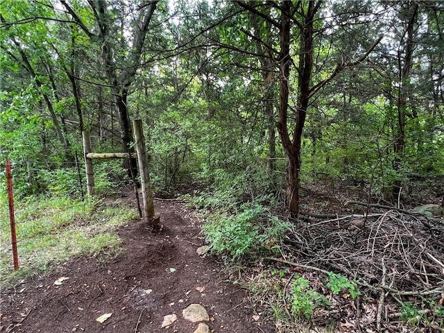 view of wooded area
